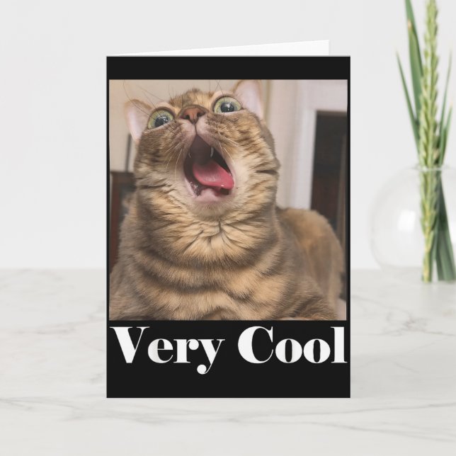 Cats Meme Graphic Silly Cat Humor Funny Cat Very C Card (Front)