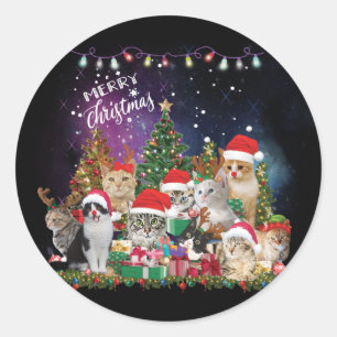 Cats Merry Christmas Light Classic Round Sticker