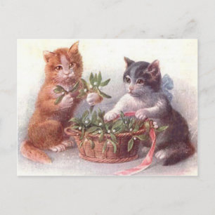 Cats & Mistletoe Postcard