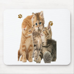 Cats Mouse Mat