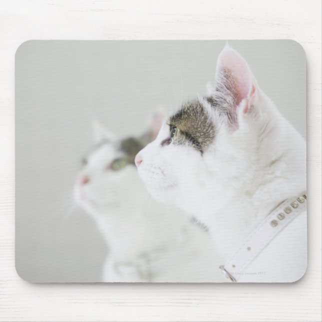 Cats Mouse Mat (Front)