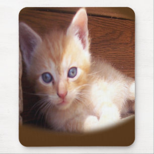 Cats Mouse Mat