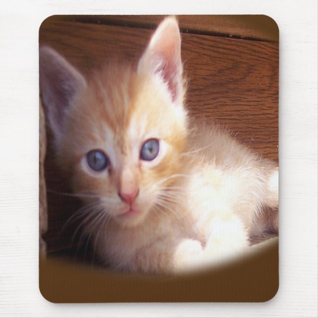 Cats Mouse Mat (Front)