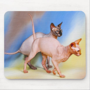 cats mouse mat