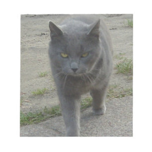 Cats Notepad