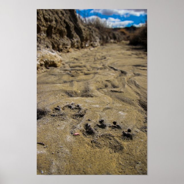 Cats of Badlands Poster (Front)