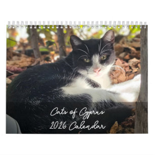 Cats of Cyprus 2026 B by PaphosLife Calendar