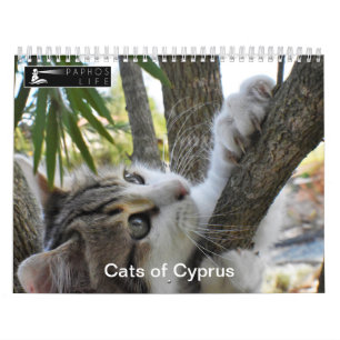 Cats of Cyprus by PaphosLife Calendar