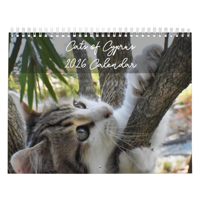 Cats of Cyprus by PaphosLife Calendar (Cover)