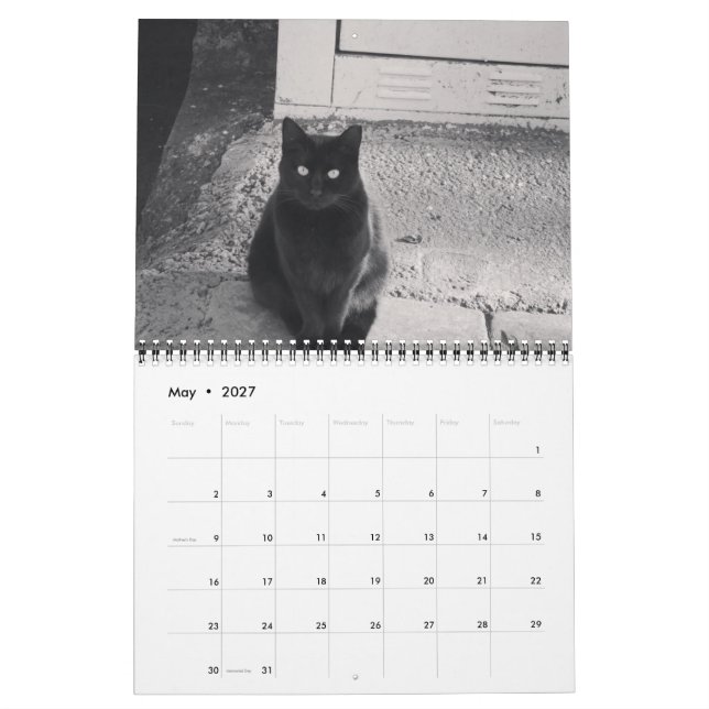 Cats of ISTANBUL Calendar (May 2027)