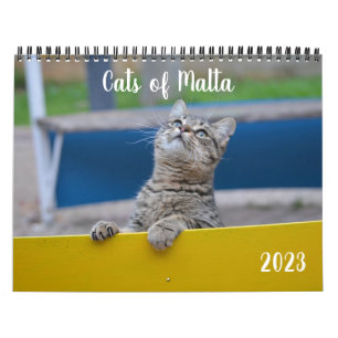 Cats of Malta - 2023 Calendar