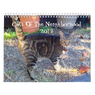 Cats Of The Neighbourhood 2013 Calendar