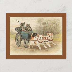 "Cats on a Coach Ride" Vintage Postcard