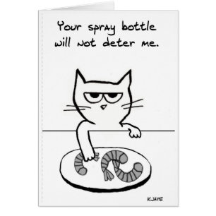 Cats on Countertops - Funny Cat Card