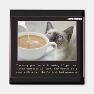 Cats On Espresso Magnet