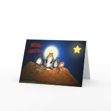 Cats on roof,  Merry Christmas, humour