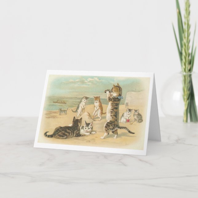 "Cats on the Beach " Vintage Greeting Card (Front)