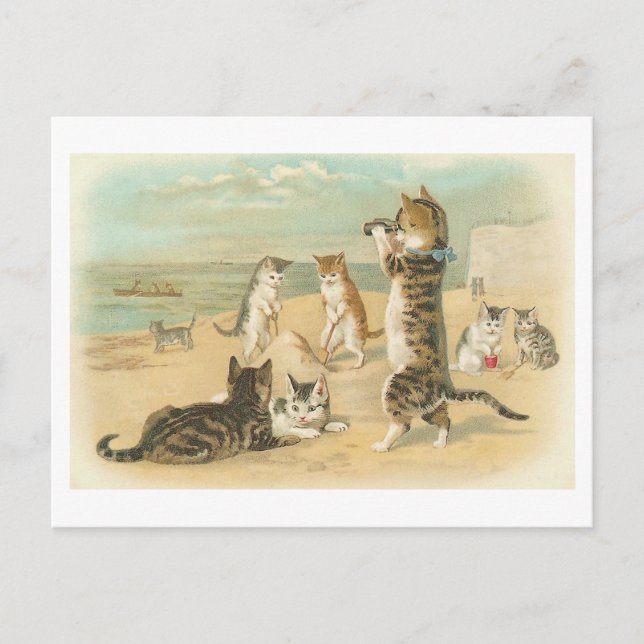 "Cats on the Beach " Vintage Postcard (Front)