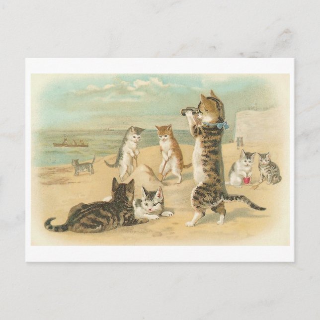 "Cats on the Beach " Vintage Postcard (Front)