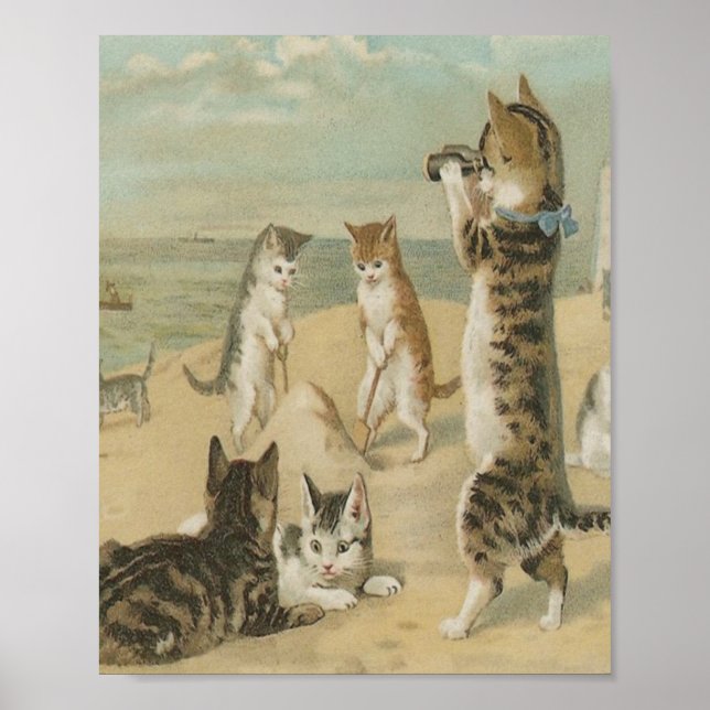 Cats On The Beach Vintage Poster (Front)