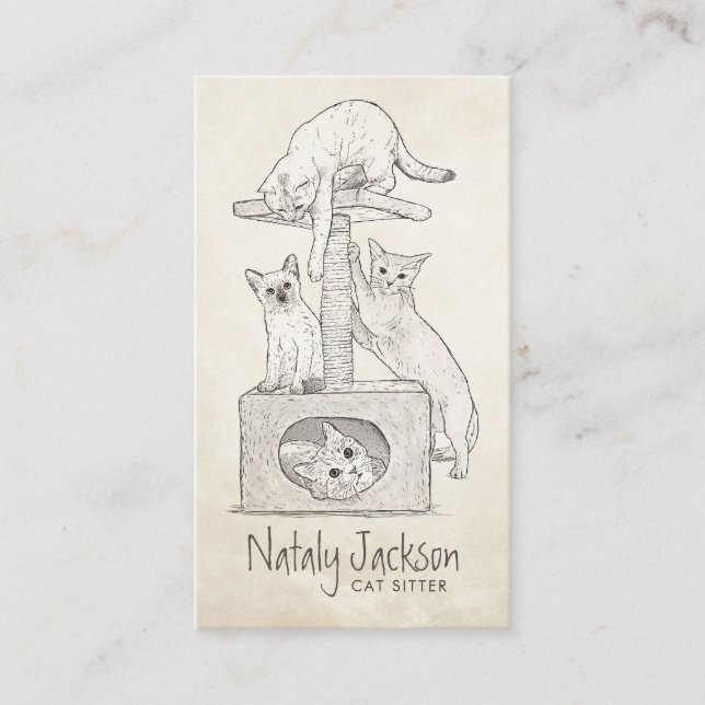 Cats on The scratching post drawing Business Card (Front)