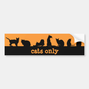 cats only bumper sticker