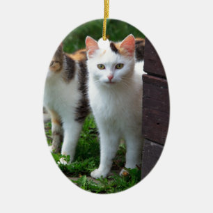Cats out playing ceramic tree decoration