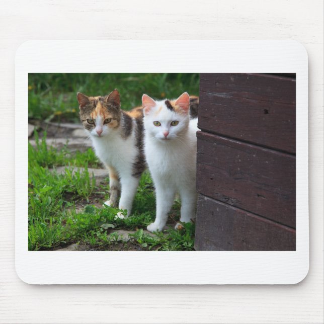 Cats out playing mouse mat (Front)