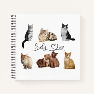 cats package, Funny cats package Notebook
