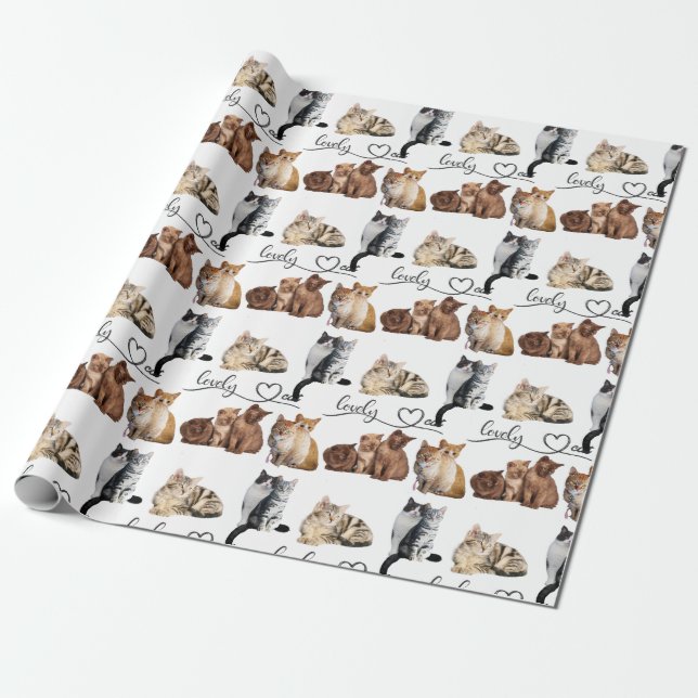 cats package, Funny cats package Wrapping Paper (Unrolled)