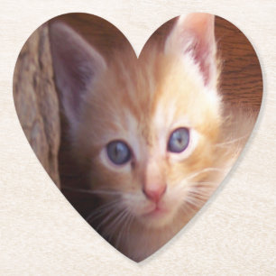 Cats Paper Coaster