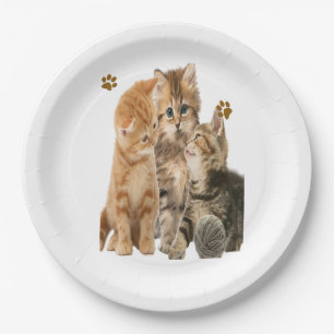 Cats Paper Plate