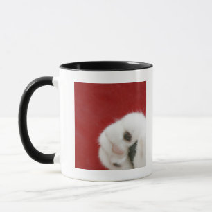 Cat's paw mug