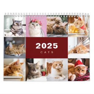 Cats Photo Collage Modern 2025 Calendar