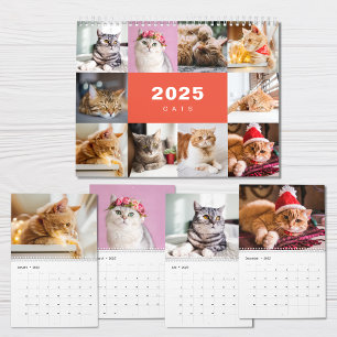 Cats Photo Collage Modern 2025 Calendar