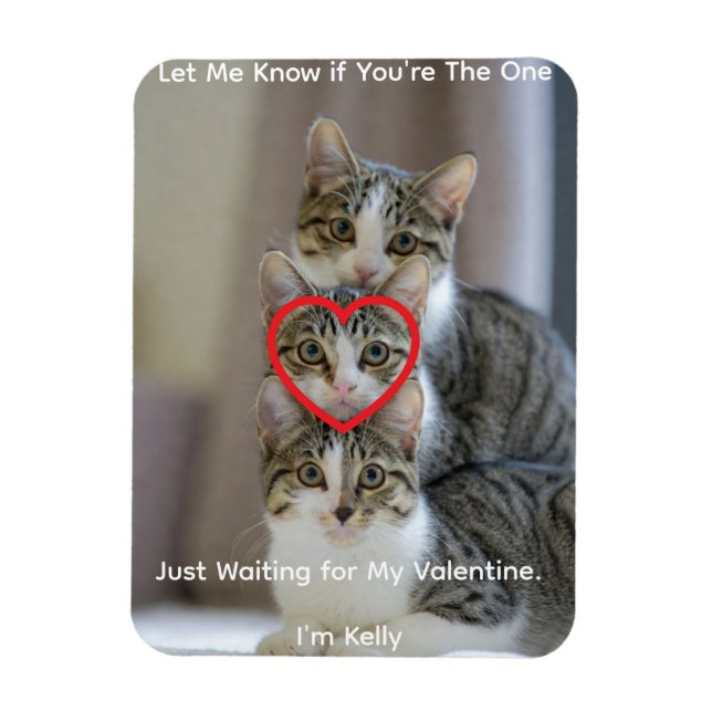 Cats Photo Flexible Photo Magnet (Vertical)