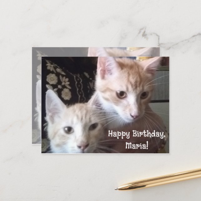 Cats photo front and back birthday card (Front/Back In Situ)