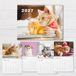 Cats Photo Modern 2027 Calendar