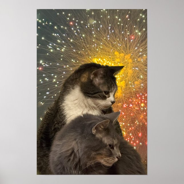 Cats Photo Poster (Front)