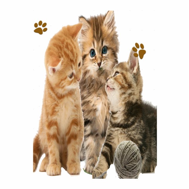 Cats Photo Sculpture Key Ring (Front)