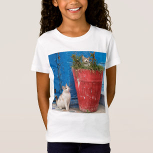Cats playing around, Rabat, Morocco T-Shirt