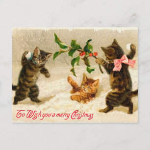 Cats playing in the snow Vintage Christmas Holiday Postcard