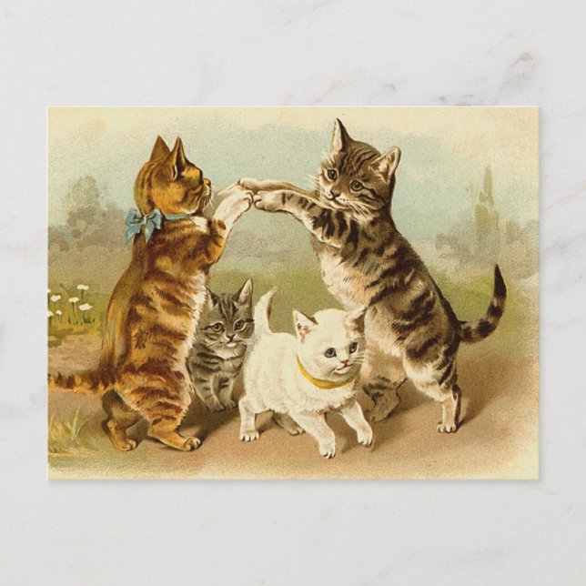 Cats Playing Vintage Illustration Postcard (Front)