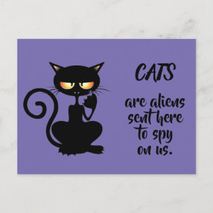 cats postcard