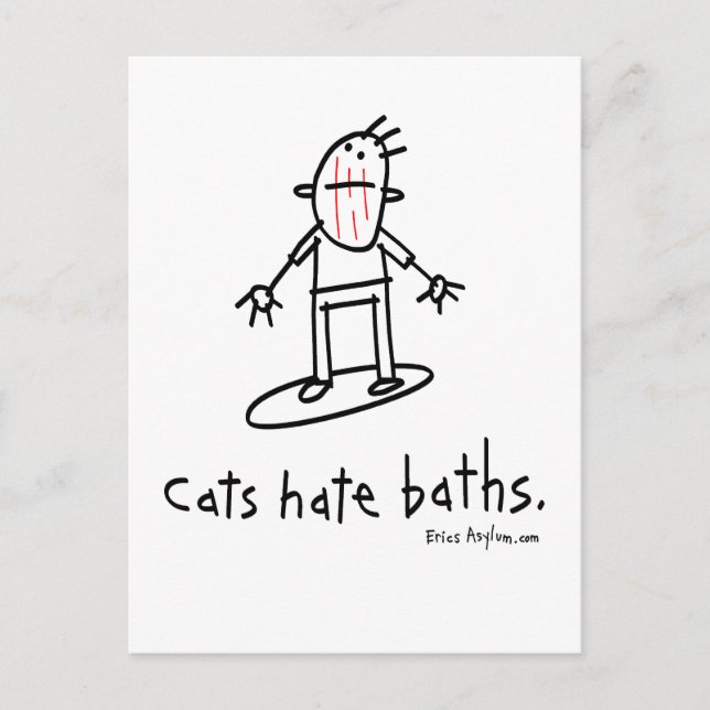 cats postcard (Front)