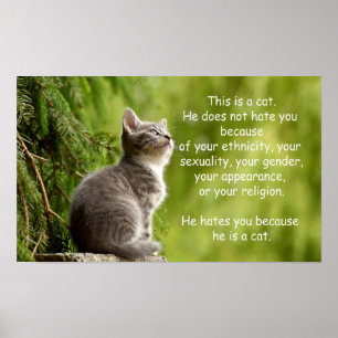 Cats Poster