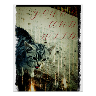 Cats Poster - Young and Wild