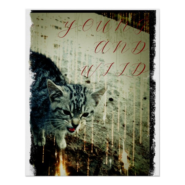 Cats Poster - Young and Wild (Front)