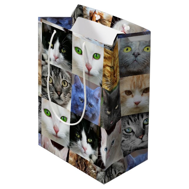 Cats Print Paper Gift Bags (Back Angled)