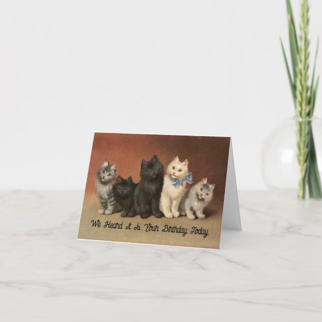 Cats Purrfectly Wonderful Birthday Greeting Card (Front)